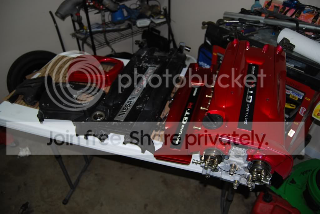 DSC_2815.jpg