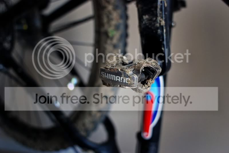bike002a.jpg