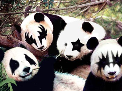 20040907.Panda.jpg