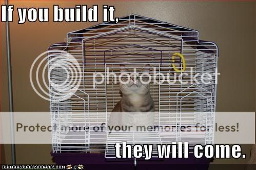 funny-pictures-cat-birdcage.jpg