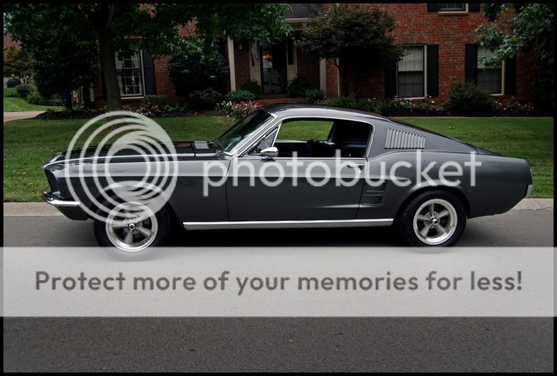 Mustang004a.jpg